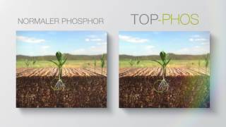 Timac Agro Österreich TopPhos der neue Phospor Rohstoff [upl. by Erdah]