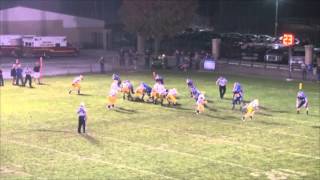 Marion Local vs Delphos St Johns Football [upl. by Ddart]