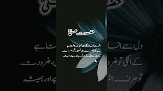 Hazrat Ali RA Qoutas📿 hazratalira quotes islamicfigure ytshorts shortvideo short shorts [upl. by Amalea]