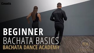 Bachata Beginner Basic Steps Tutorial  Demetrio amp Nicole  Bachata Dance Academy [upl. by Lagas209]