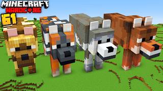 I Built EVERY WOLF VARIANT in Minecraft Hardcore [upl. by Eilzel]