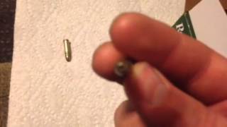 Remington golden bullet 22 LR review [upl. by Yared958]