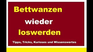 Bettwanzen wieder loswerden Wanzen bekämpfen Woher kommen Hauswanzen Erkennen Bekämpfung Was tun [upl. by Nollie]