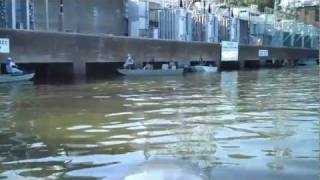 Fishing at Wheeler Dam Alabama [upl. by Aihsekat]