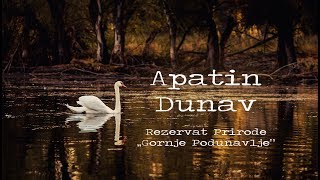 Discover Serbia  Danube  Apatin  Nature Reserve quotGornje Podunavljequot [upl. by Letnohs910]