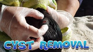 Guinea pig cyst removal at Cavy Central Guinea pig rescue [upl. by Aicilev411]