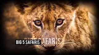 Honeyguide Tented Safari Camps Promo [upl. by Rudin]