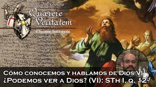 ¿Podemos ver a Dios VI STh I q 12  Quaerere Veritatem 55 [upl. by Arotak474]