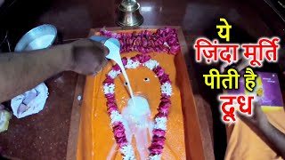 ये ज़िन्दा मूर्ति पीती है दूध  पिलुआ हनुमान गढ़ी  Pilua Mahaveer Temple Etawah [upl. by Sik]