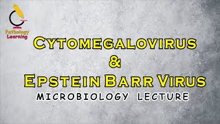 Cytomegalovirus amp Epstein Barr Virus By Assoc Prof Dr Nadia Wali [upl. by Naihtsirc]