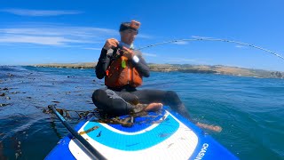 Paddleboard Fishing with a BOOST Fin [upl. by Stagg268]