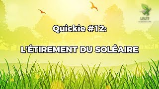 Étirement du Soléaire  Quickie 12 [upl. by Ellekram836]