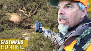 Elk Hunting One Of Colorados Best Areas [upl. by Einra]