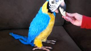 FurReal Parrot How To Play without Remote [upl. by Niamor]