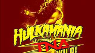 Hulk Hogan TNA Theme Song [upl. by Larkins814]