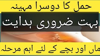 2nd Month Of Pregnancy Complete Guide In Urdu  Hamal Ka Dusra Mahina  Hamal K Dusre Mahine Mein [upl. by Napoleon901]