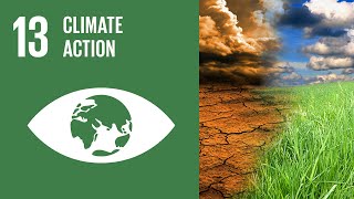 UN Sustainable Development Goals  Climate Action 13 [upl. by Ymerrej]