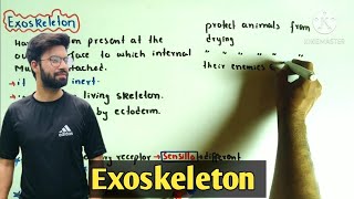 Exoskeleton  Exoskeleton class 2nd year  Fsc 2nd year biology [upl. by Suter270]