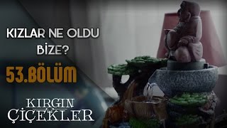 Kırgın Çiçekler 53Bölüm  Ne oldu bize kızlar [upl. by Lenni]