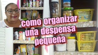 COMO ORGANIZAR UNA DESPENSA PEQUEÑAIDEAS PARA ORGANIZAR [upl. by Xavier]