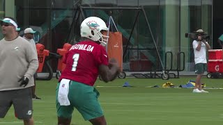 Dolphins hit the practice field as training camp ramps up [upl. by Solberg]