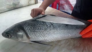 Super Fast skinning of fish  Skills Fillet  Amazing fishmongers [upl. by Kristofor]