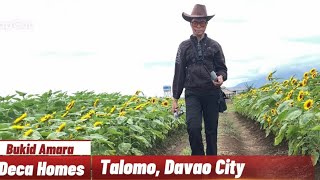 Bukid Amara Deca homes TalomoDavao City travelvlog adventure lakwatcheronghilaw [upl. by Kraul]