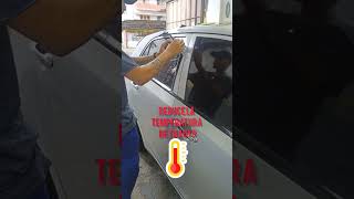 Conoce el polarizado de cristales polarizados auto estéticaautomotiva shorts videoviral [upl. by Vento]