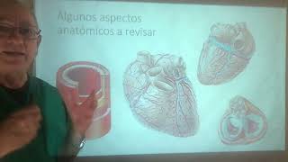 Infarto Agudo del MiocardioIMA Anatomia y Fisiopatologia Muerte súbita Enzimas cardiacas [upl. by Nessaj]