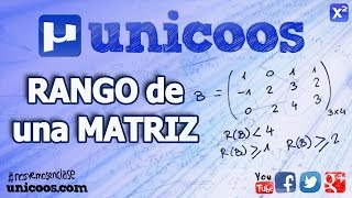 RANGO de una matriz por determinantes 02 BACHILLERATO unicoos [upl. by Nishom953]