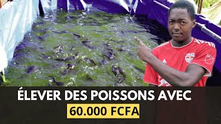 Comment DÉBUTER votre PROJET de PISCICULTURE avec 60000 FCFA en AFRIQUE  Je vous dis tout [upl. by Samala]