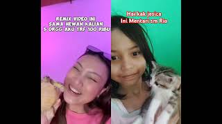 Kucing lucu remix kak jesica animals petsmemesreaction cat kucinglucuimut memefunny stitch [upl. by Fachan]