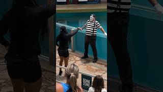 Oh boy 🫢 Tom the Mime seaworldmime [upl. by Adnana]