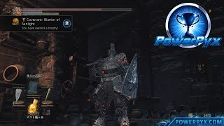 Dark Souls 3  Covenant Warrior of Sunlight Location [upl. by Kuth913]