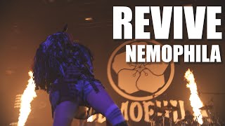 NEMOPHILA  REVIVE Official Live Video [upl. by Nezam]