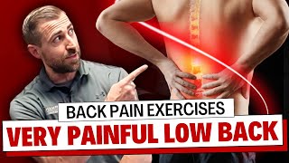 My Favorite Exercises for a Very Painful Lower Back For Physical Therapists [upl. by Enamart743]