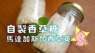 南西家自製香草糖 DIY Vanillin Sugar 開箱 [upl. by Duncan]