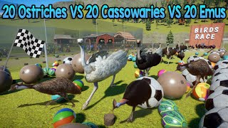 20 Ostriches VS 20 Cassowaries VS 20 Emus Animals Birds Race in Planet Zoo  Animal Animation [upl. by Humphrey]