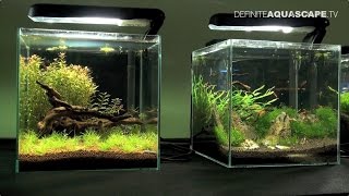 Little Big World of Aquarium  Planted nanoaquariums pt4 [upl. by Higginson713]