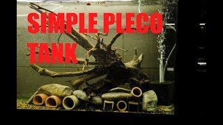 How to set up a basic Pleco breeding tank Hypancistrus Breeding [upl. by Sublett]