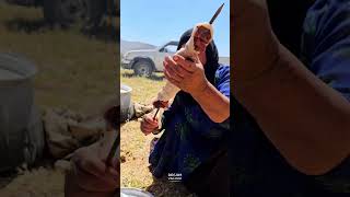 Traditional Bakhtiari Nomads Gathering villagelife cooking nature food [upl. by Mcculloch]