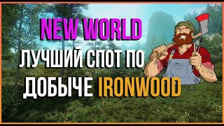 Добыча IRONWOOD в New World  Farm IRONWOOD [upl. by Azral]