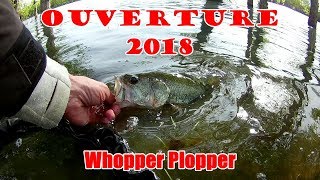 Ouverture  le WHOPPER PLOPPER sauve ma session [upl. by Noffets]