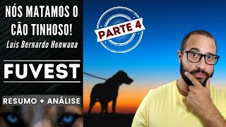 NÓS MATAMOS O CÃO TINHOSO  PARTE 44  FUVEST  Luís Bernardo Honwana  Resumo  Análise [upl. by Dodi]