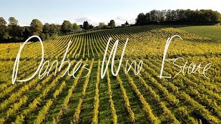 Denbies Wine Estate Flying Through The Vineyard By Drone [upl. by Rimaj406]