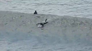 Surfing 3 in Widemouth Bay near Bude Cornwall England UK [upl. by Haeel]