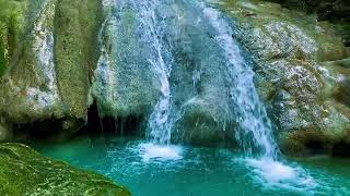 Relaxing birds amp water sounds nature river sounds for sleep meditation relaxation flowing water [upl. by Sydelle]