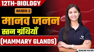 Mammary glands L3  Human Reproduction  Class 12thNEET Biology by Shalini Maam  Hindi Medium [upl. by Theressa]