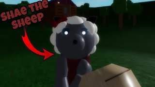 NEW SHAE THE SHEEP JUMPSCARE  Roblox Rash Raid Beta [upl. by Octavus]