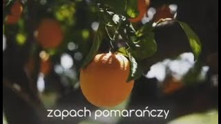 Zapach pomaranĚczy [upl. by Jaret80]